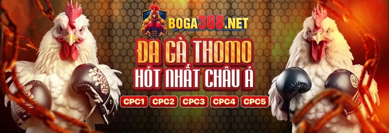 Hướng dẫn tải và cài đặt 888bet App